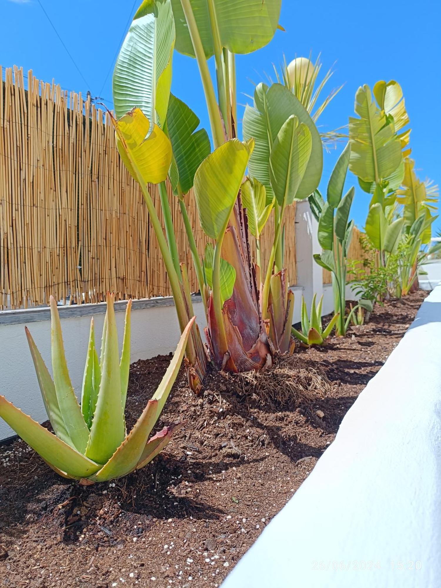 Supertubos House Peniche Bed & Breakfast Atouguia Da Baleia Exterior foto